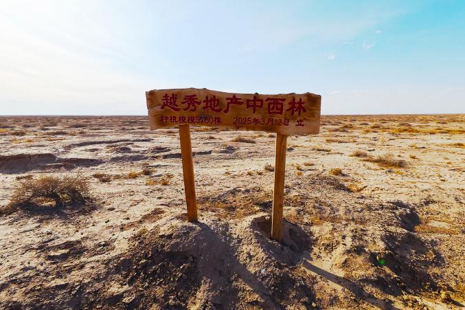 图片5.png